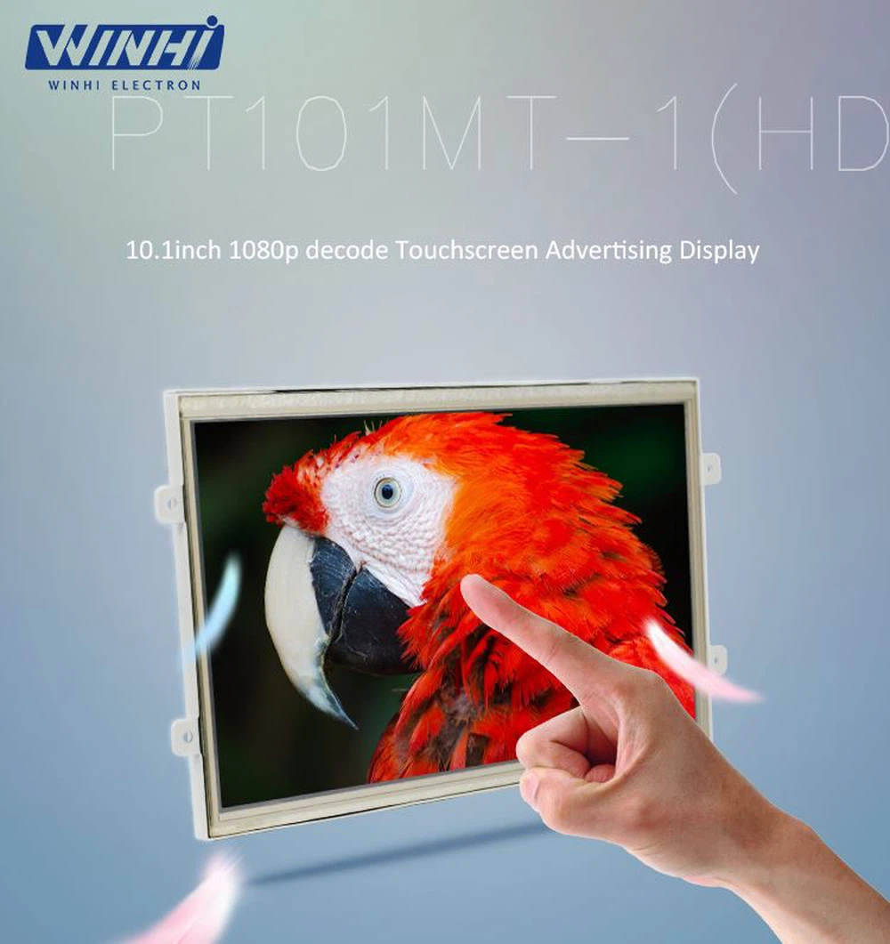 PT101MT-1_01 PT101MT-1_01