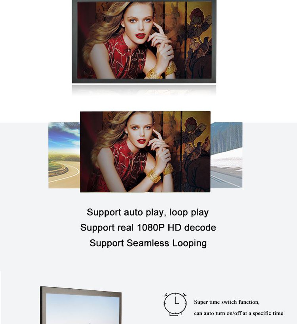 PT238BD-Network-_02 PT238BD-Network-_02