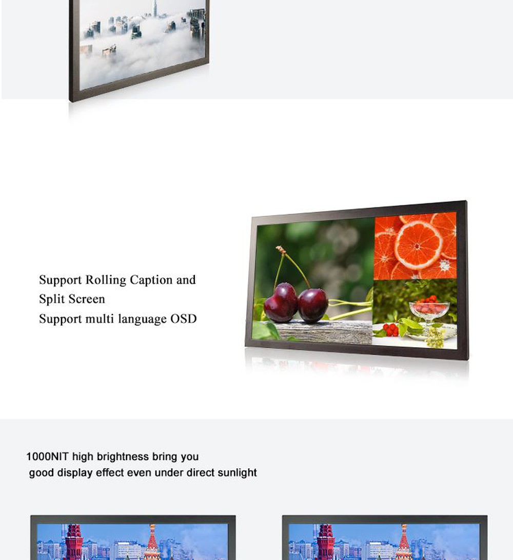 PT238BD-Network-_03 PT238BD-Network-_03