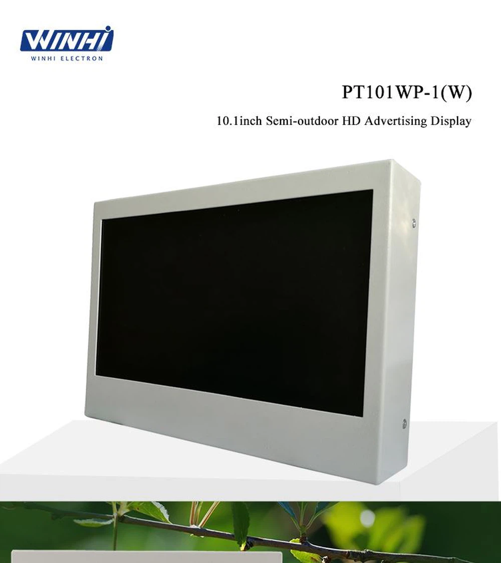 PT101WP-1_01 PT101WP-1_01