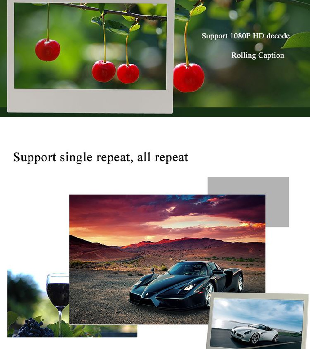 PT101WP-1_02 PT101WP-1_02