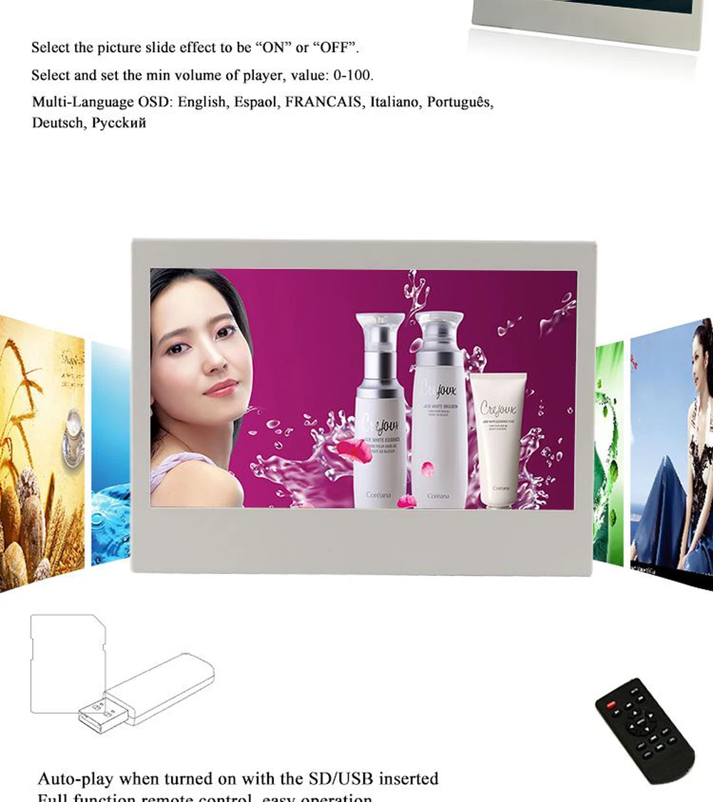 PT101WP-1_03 PT101WP-1_03