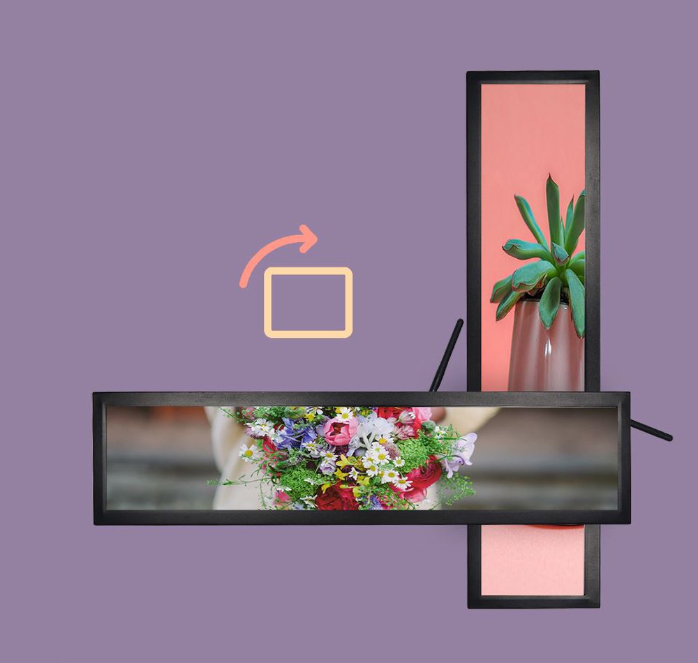 product-1000-950 product-1000-950