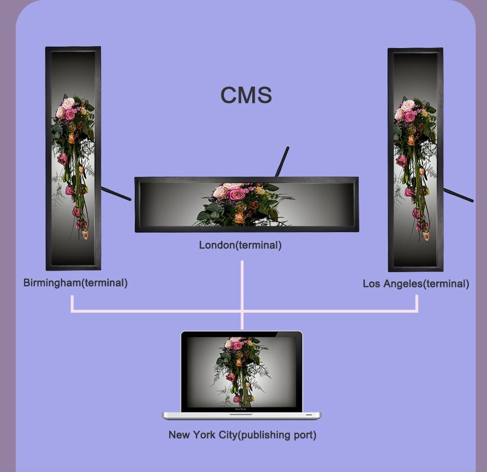 product-1000-969 product-1000-969