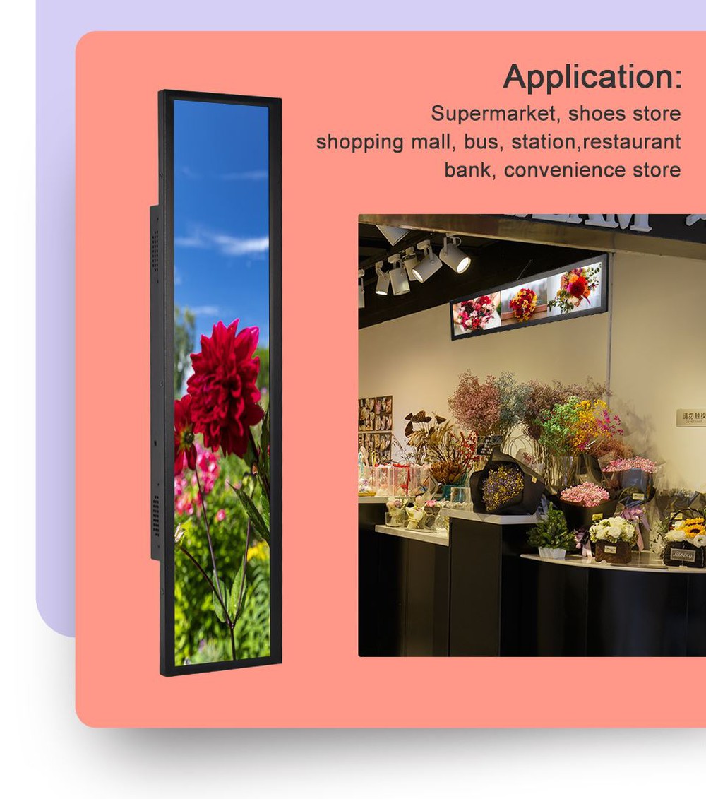 product-1000-1131 product-1000-1131