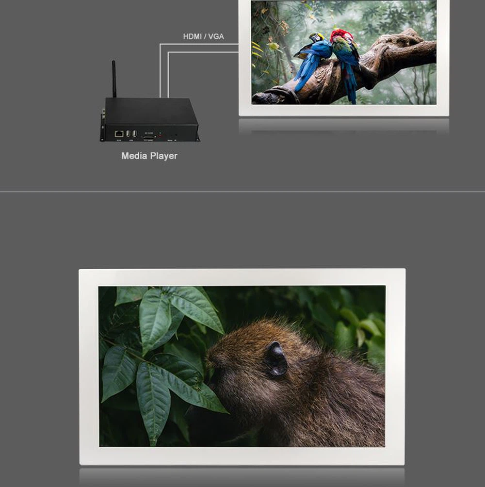 WH156HT_02 WH156HT_02