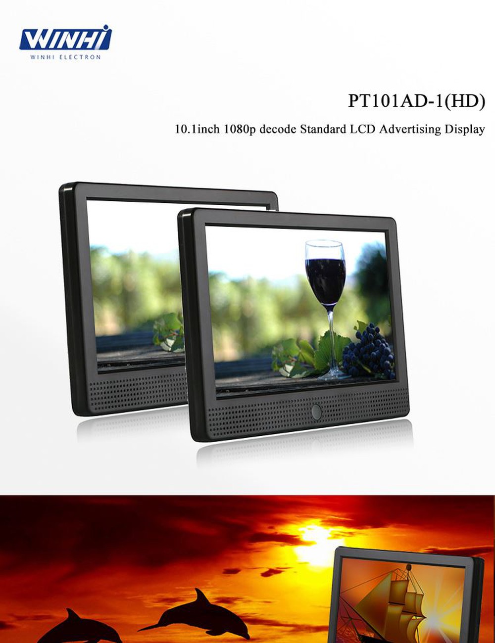 PT101AD-1(B)_01 PT101AD-1(B)_01