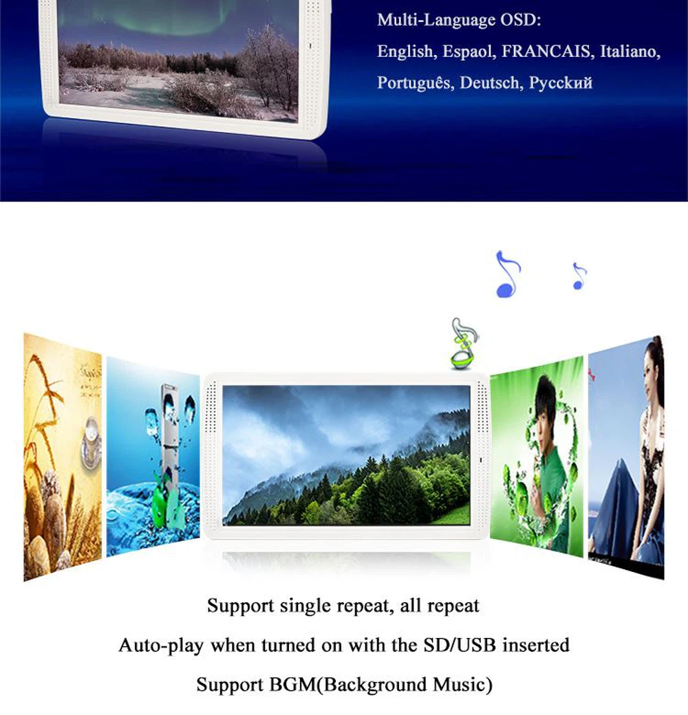 PT101BD-1(W)_02 PT101BD-1(W)_02