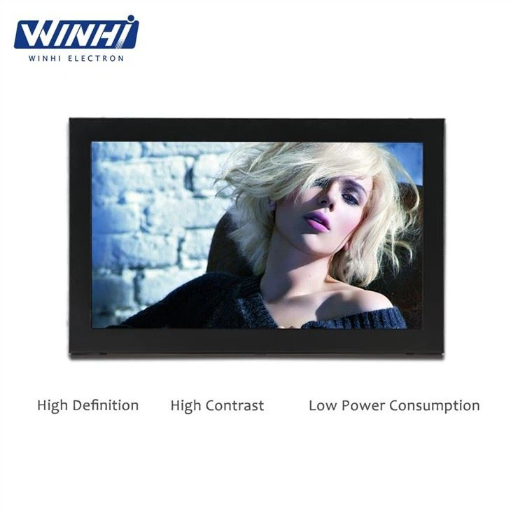 10.1in LCD Display Monitor