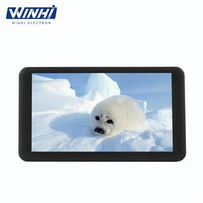 in-store tv advertising software