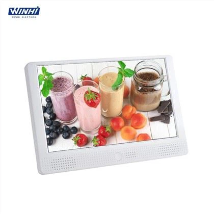 10.1inch LCD Display Screen