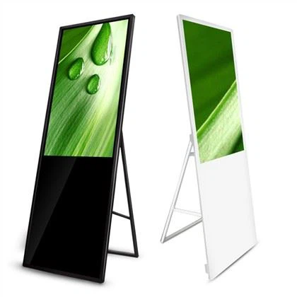 LED Screen Display