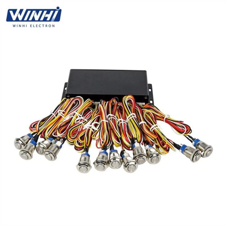 Portable Digital Video Player