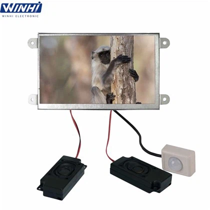 7in LCD Advertising Player